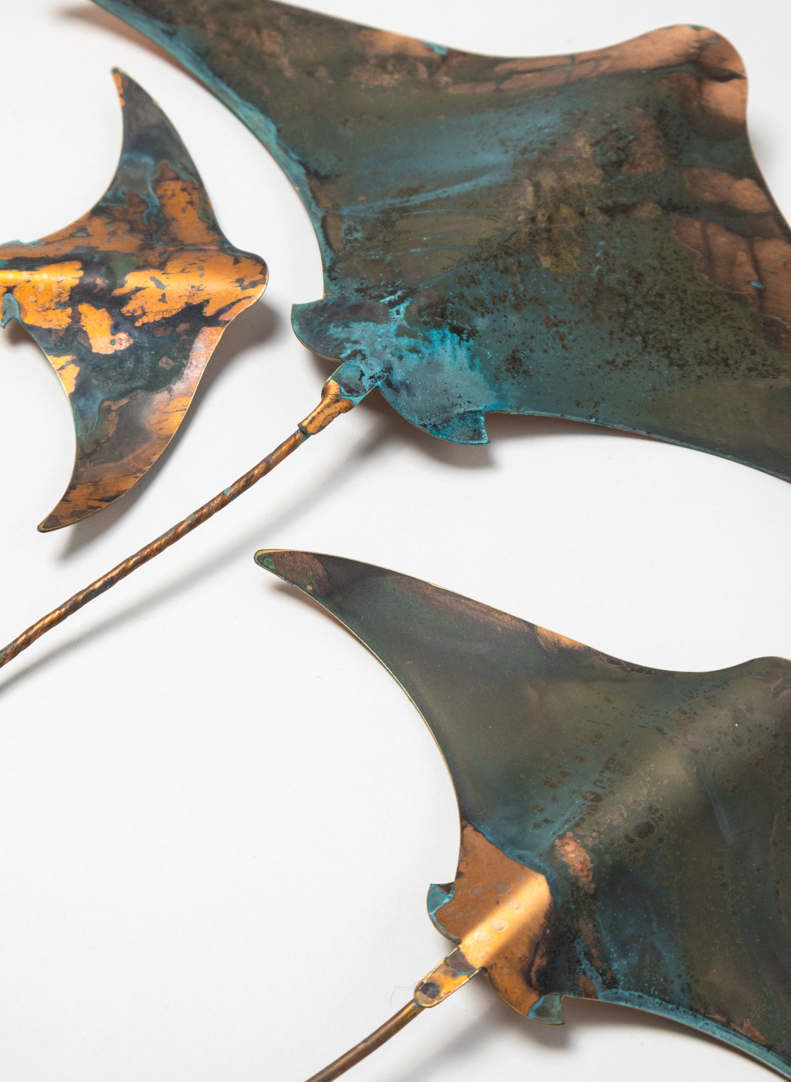 Stingray - Set of 3