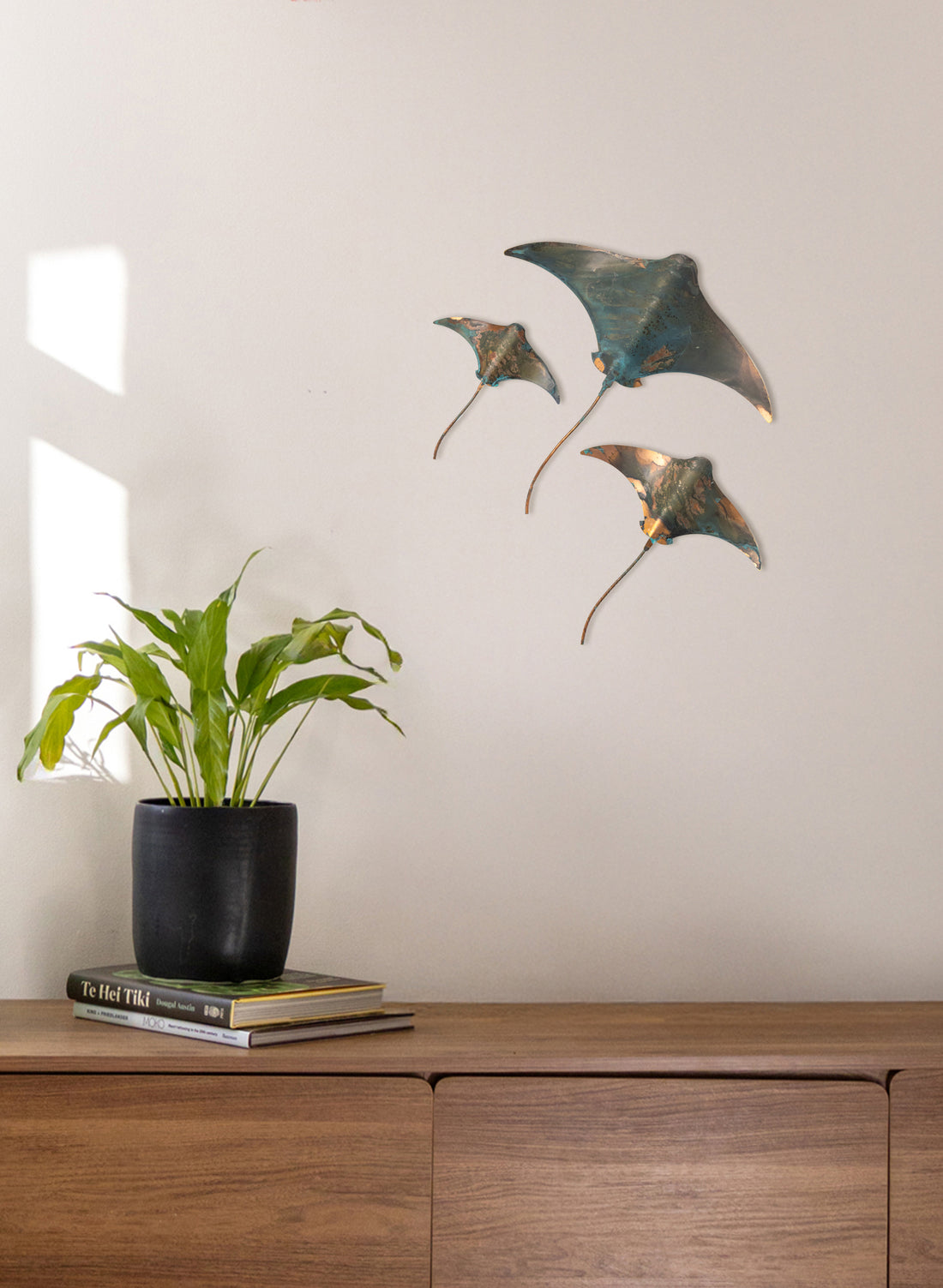 Stingray - Set of 3