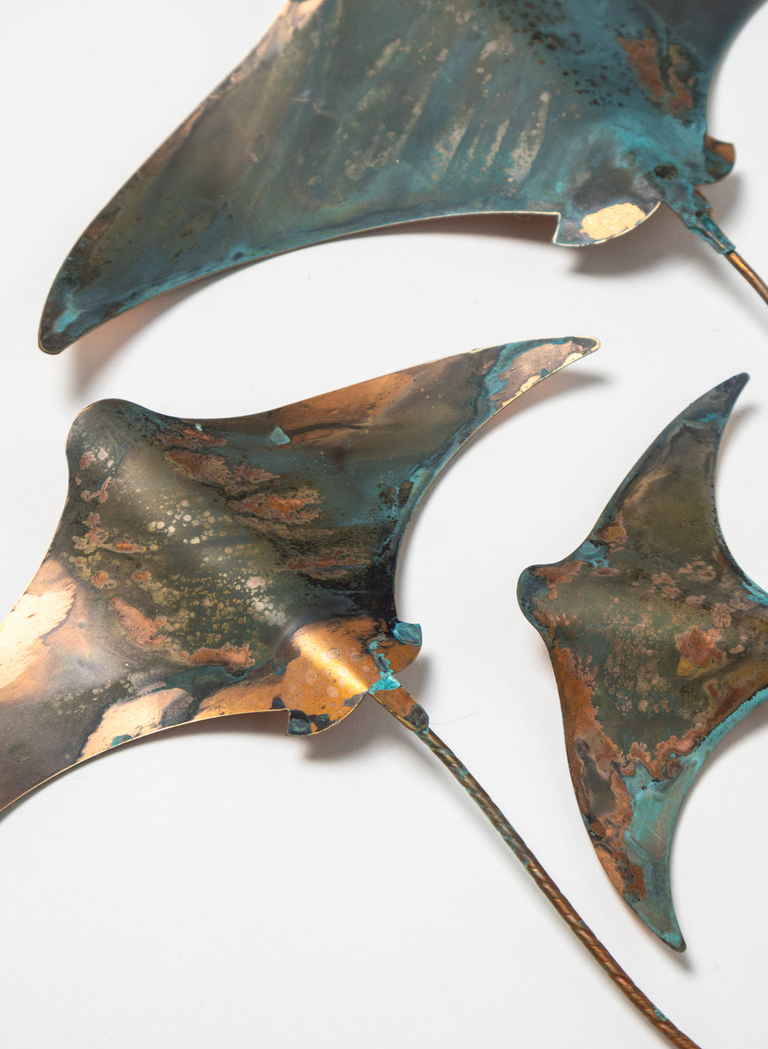 Stingray - Set of 3