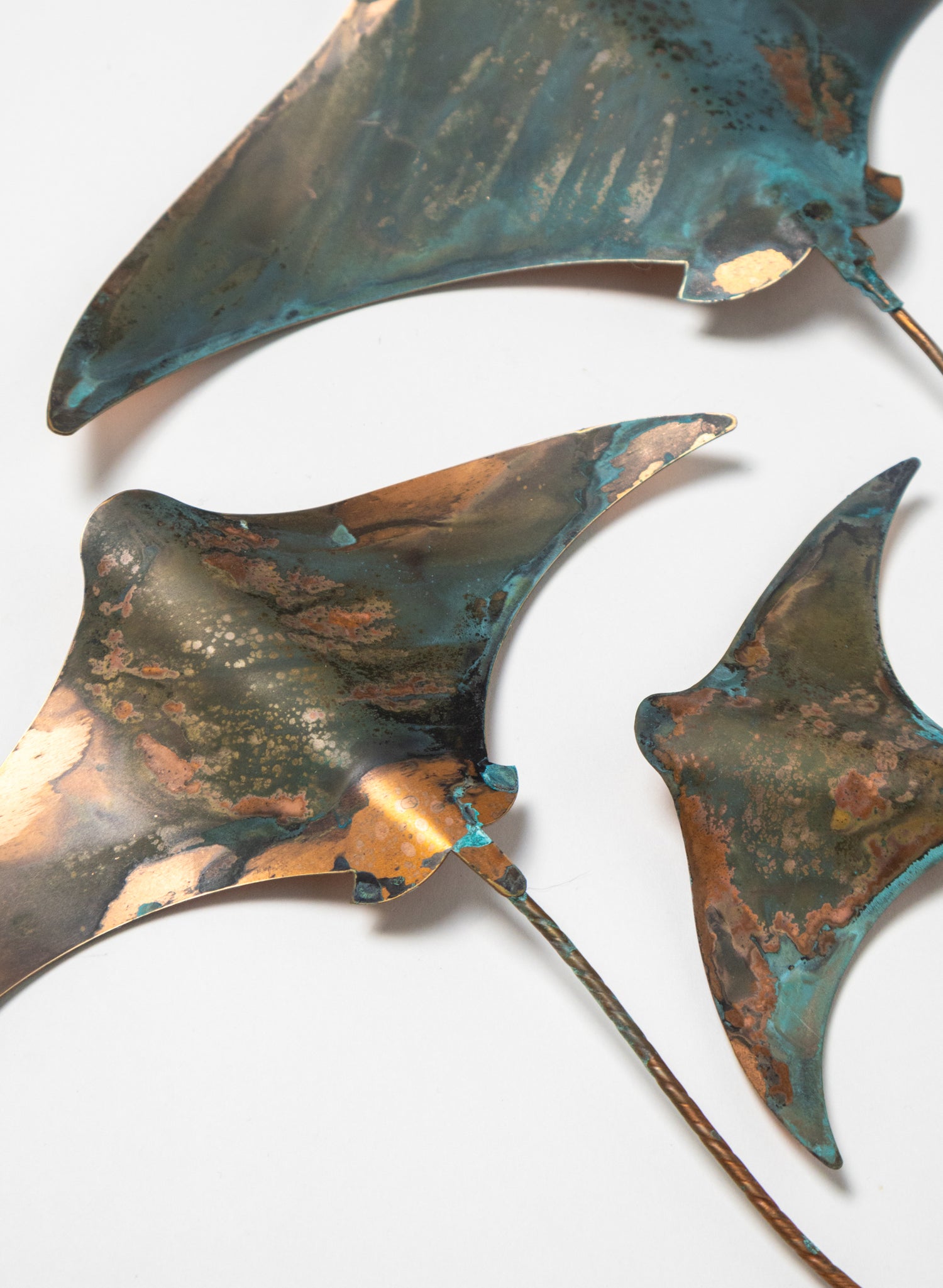 Stingray - Set of 3