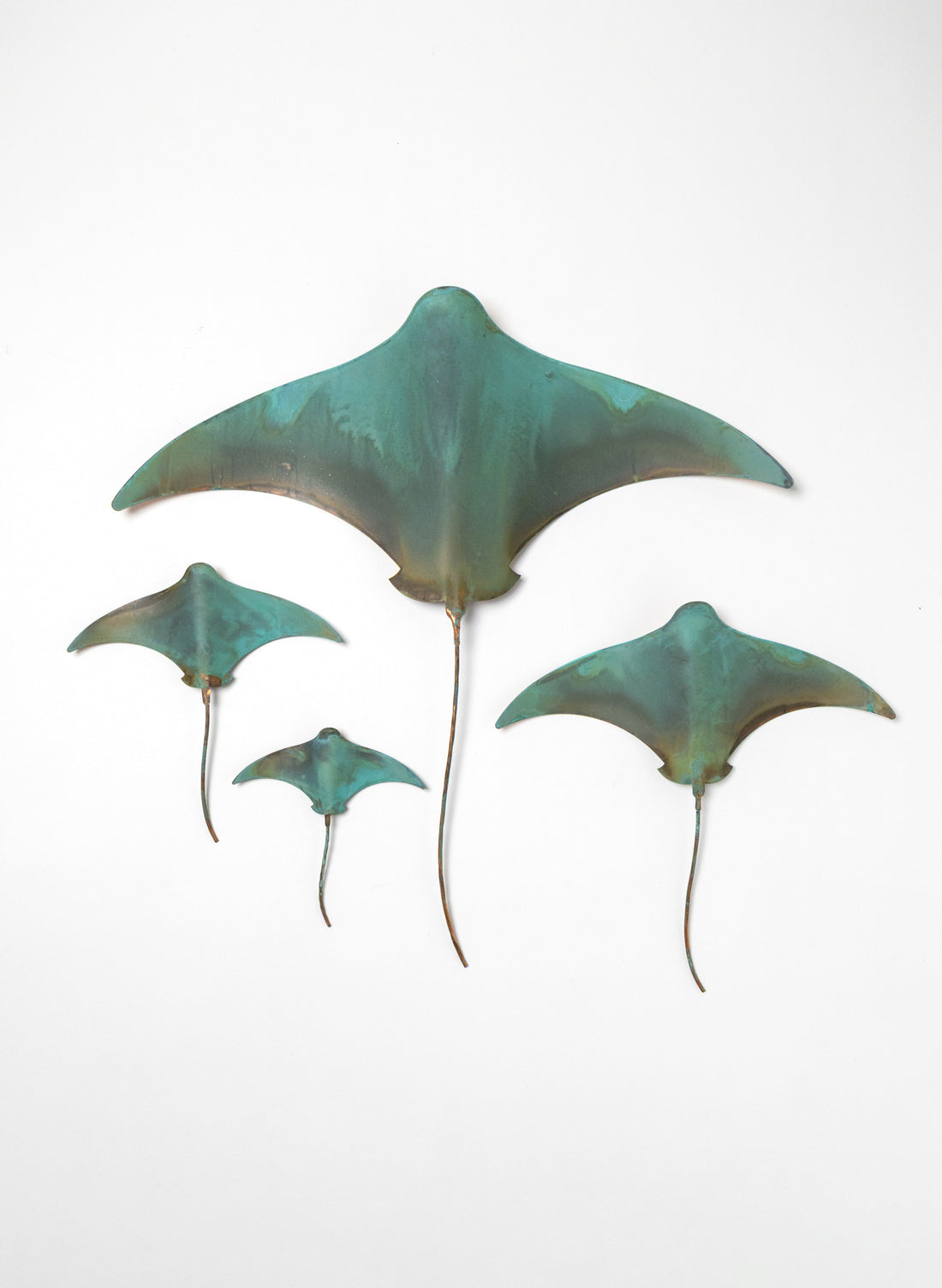 Stingray - Set of 4
