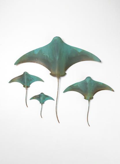 Stingray - Set of 4
