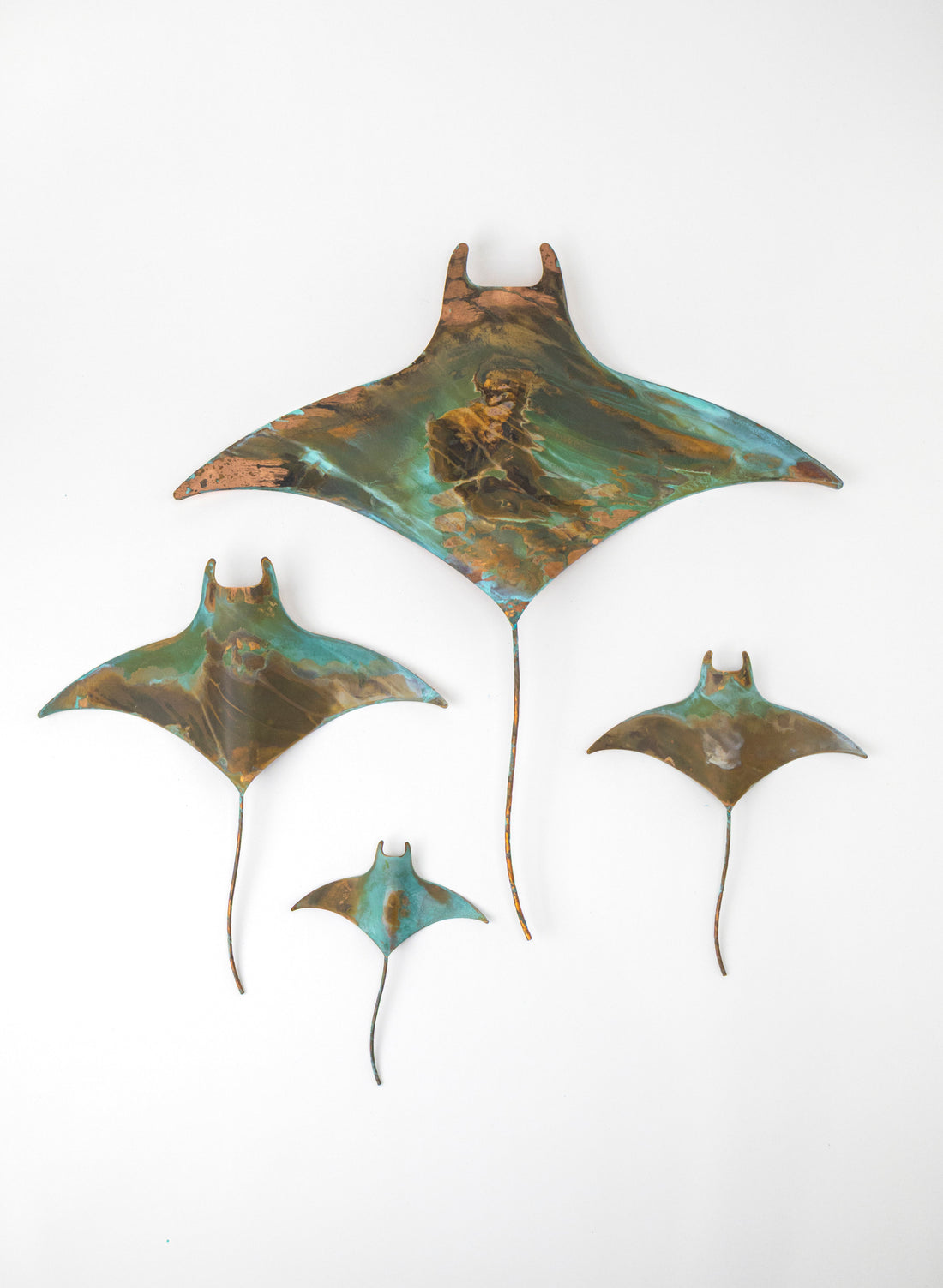 Stingray - Set of 4