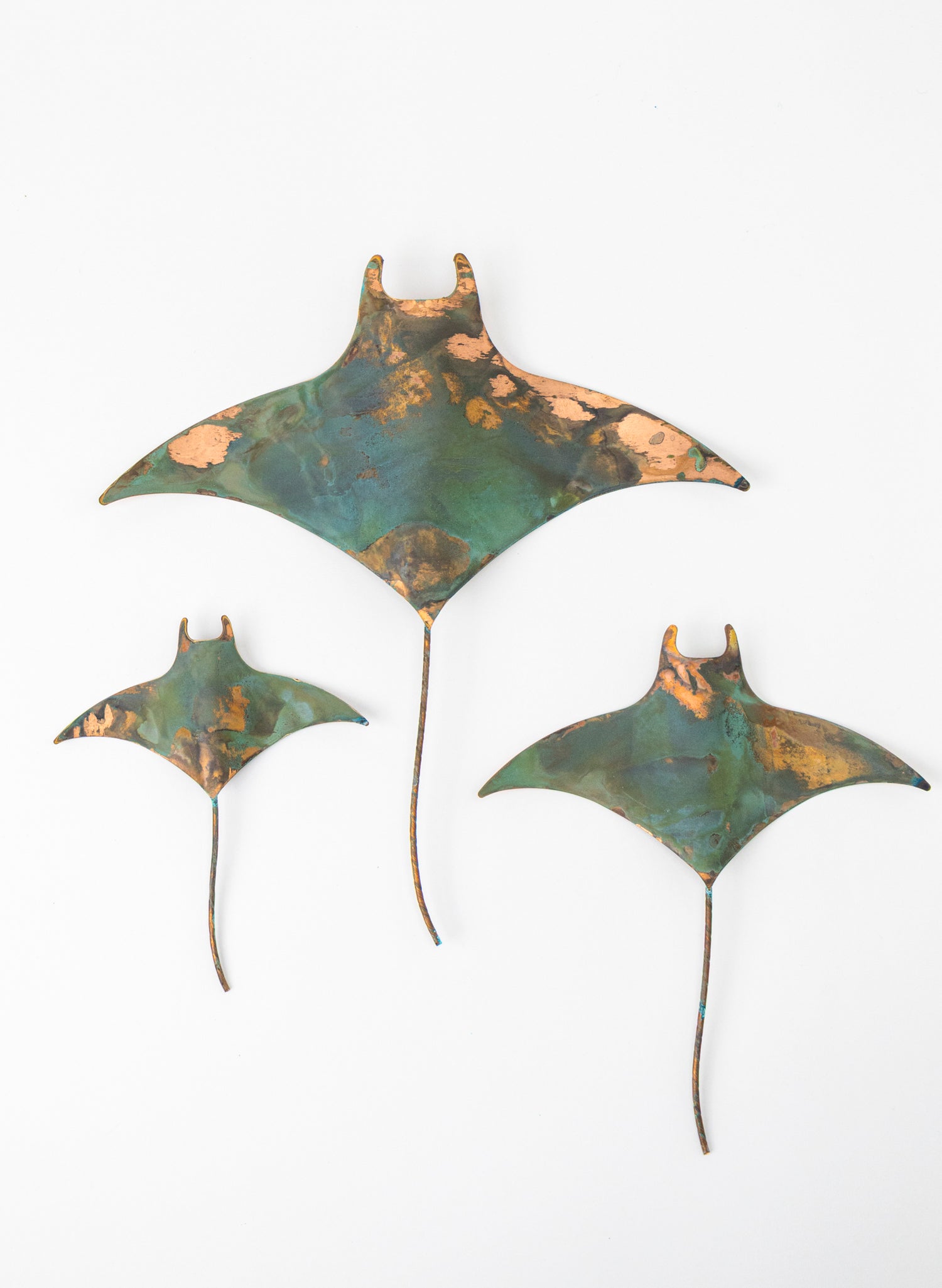 Stingray - Set of 3