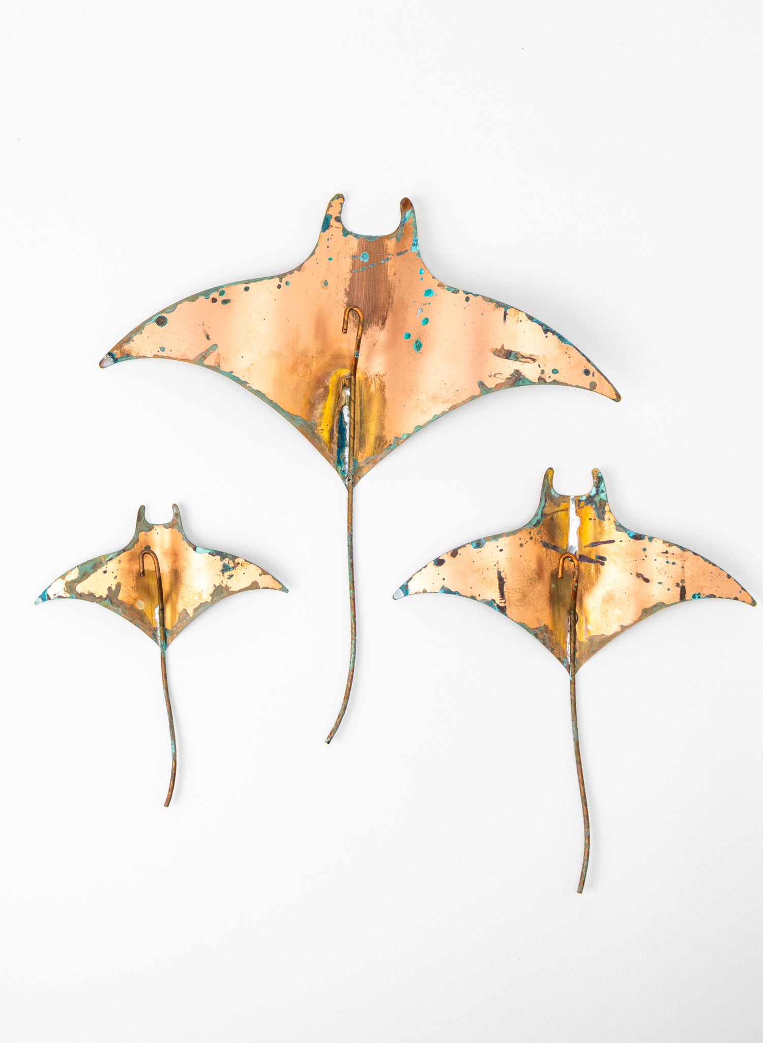Stingray - Set of 3