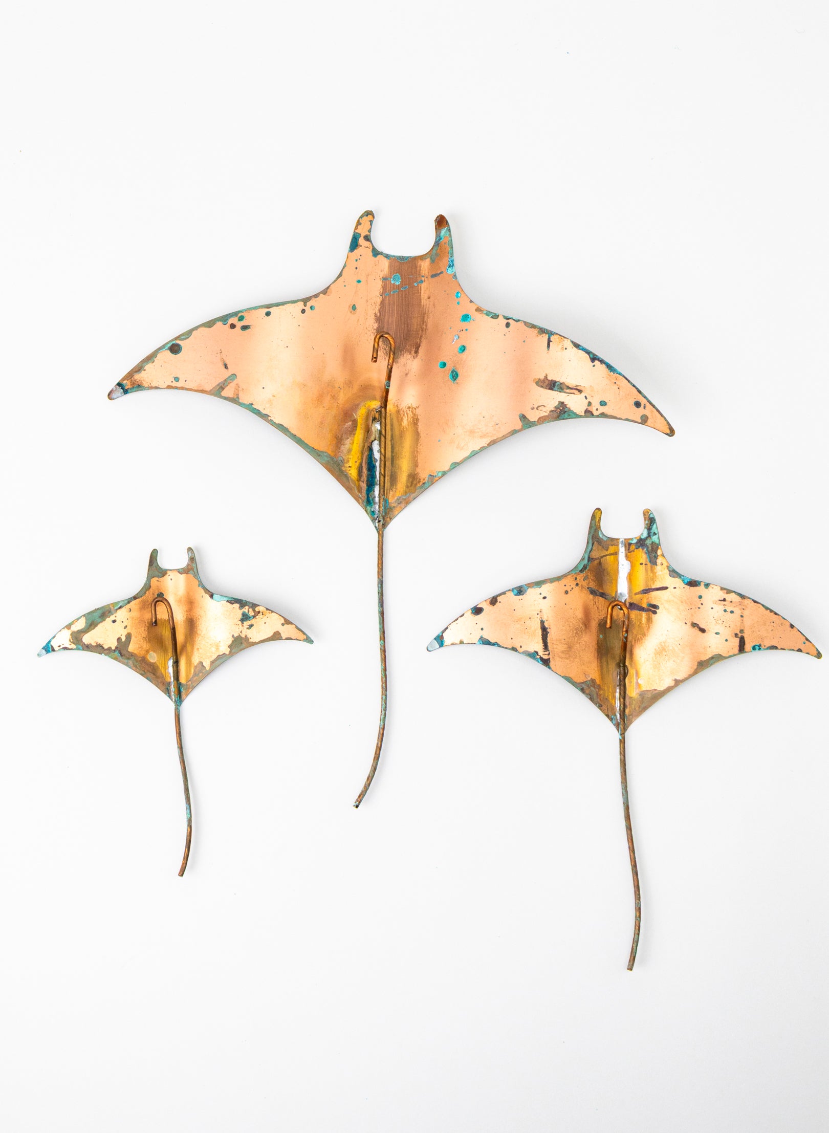 Stingray - Set of 3