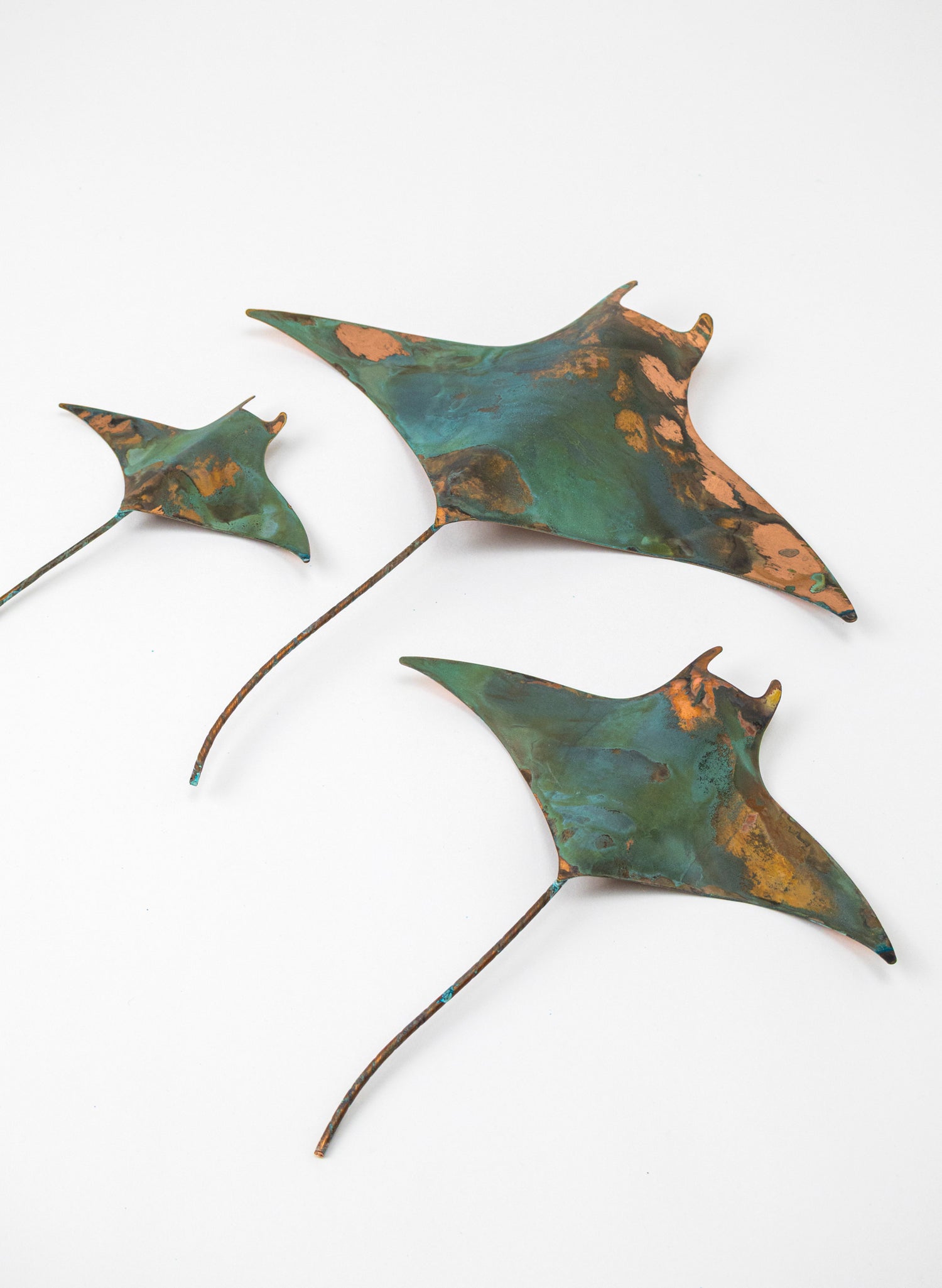 Stingray - Set of 3