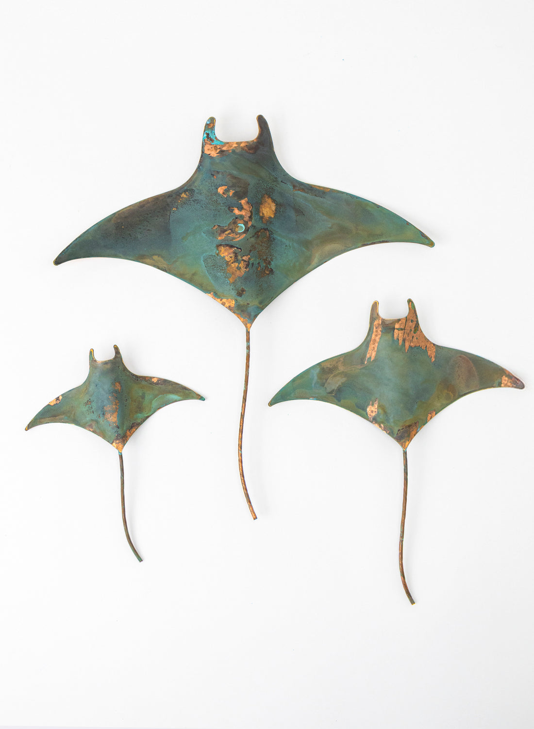 Stingray - Set of 3