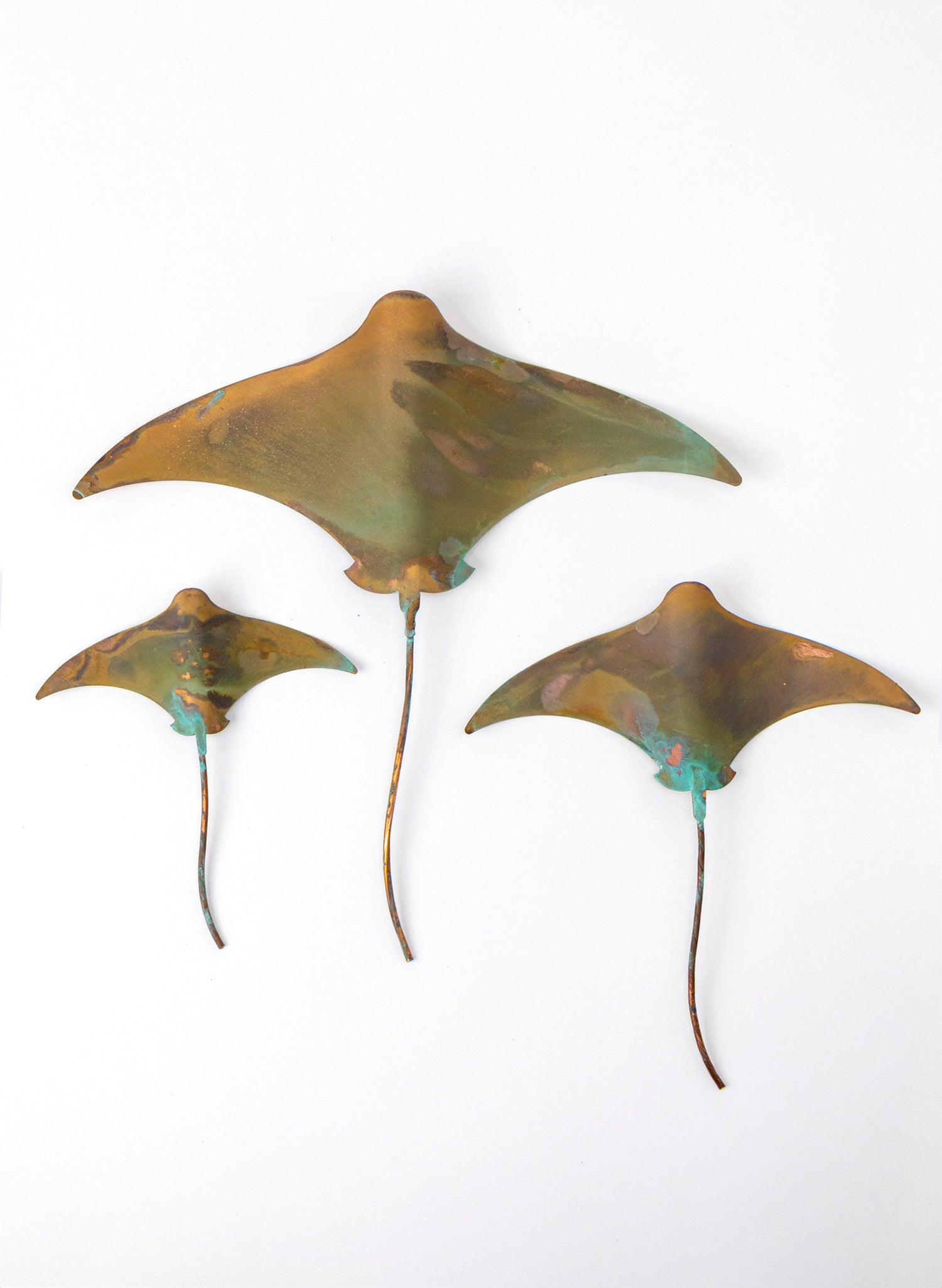 Stingray - Set of 3