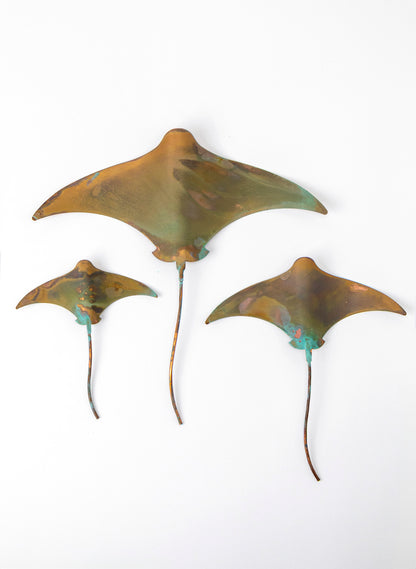 Stingray - Set of 3