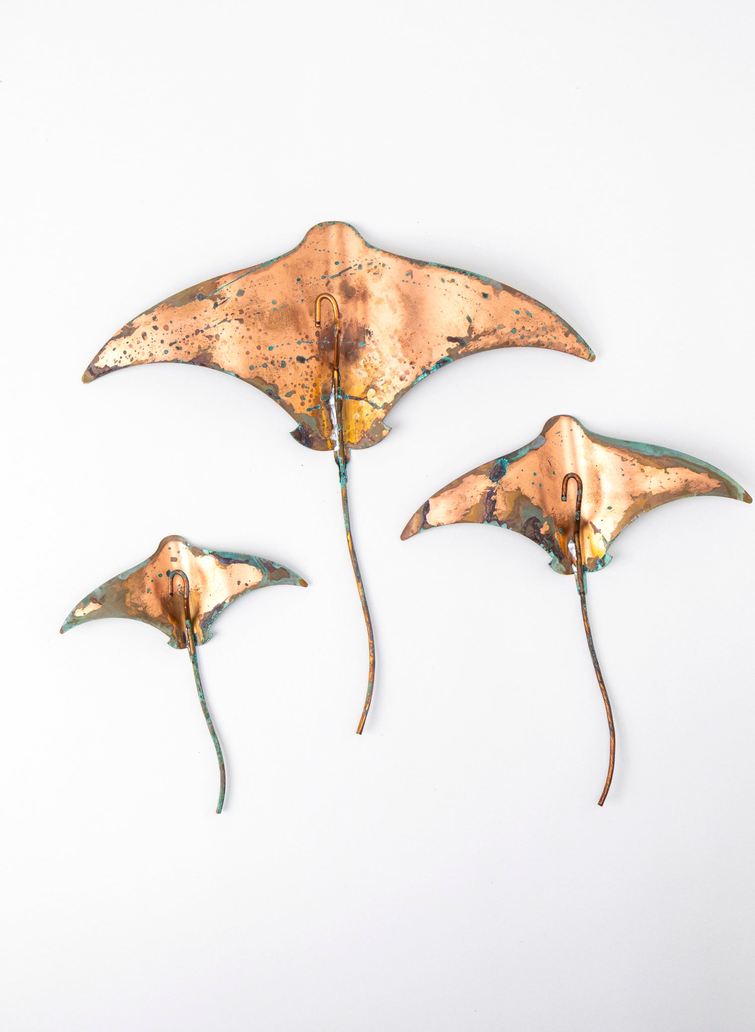 Stingray - Set of 3