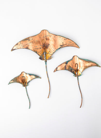 Stingray - Set of 3