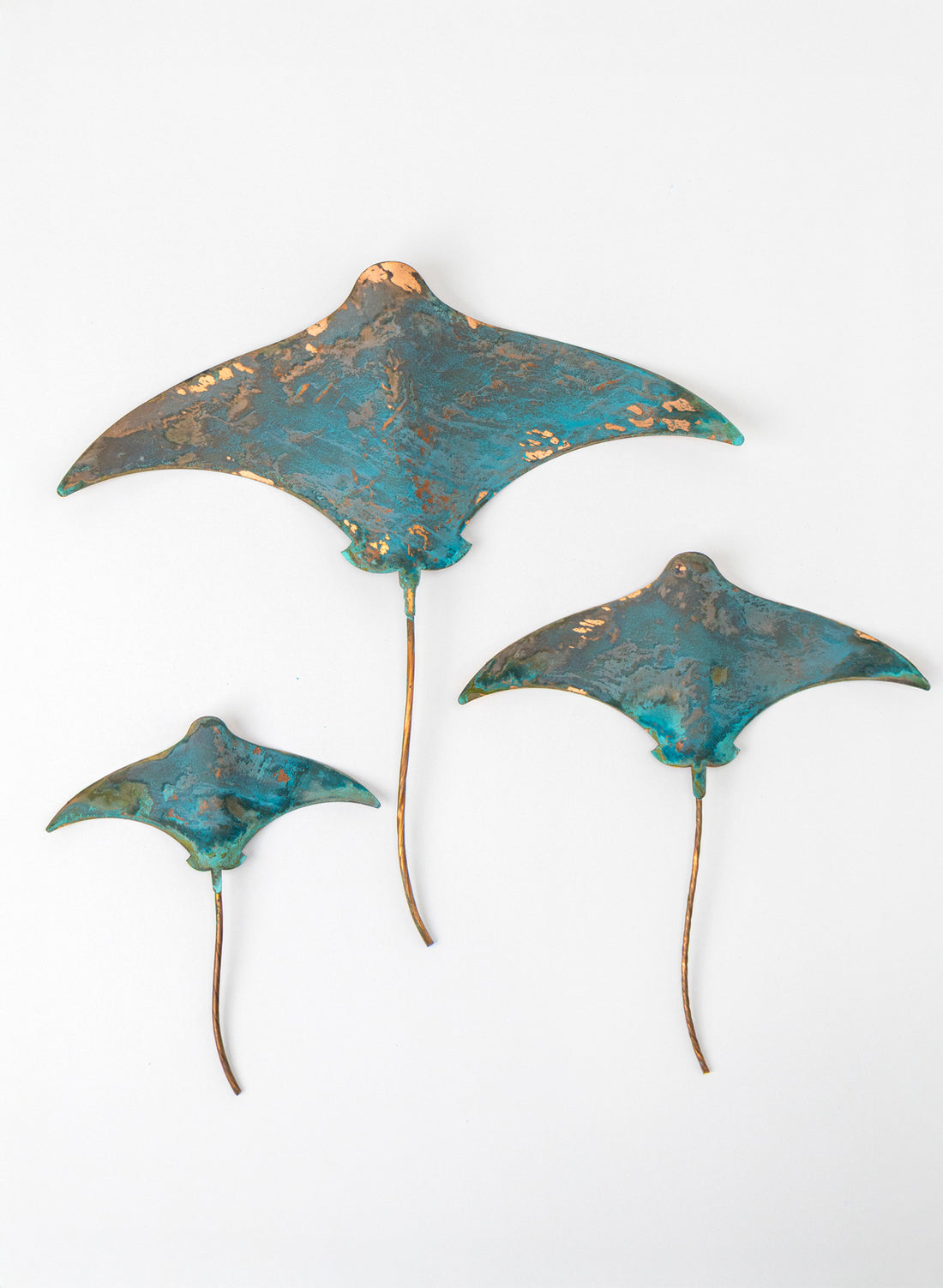 Stingray - Set of 3