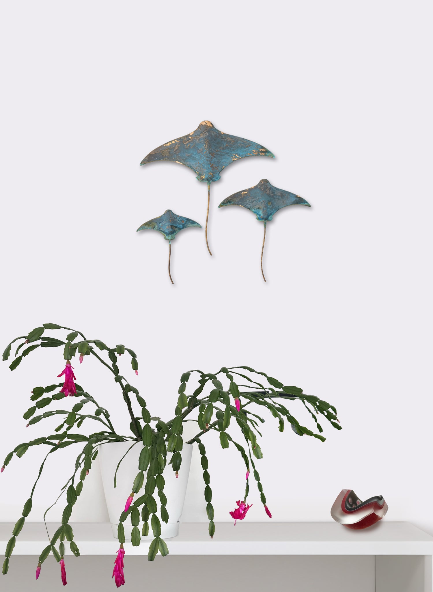 Stingray - Set of 3