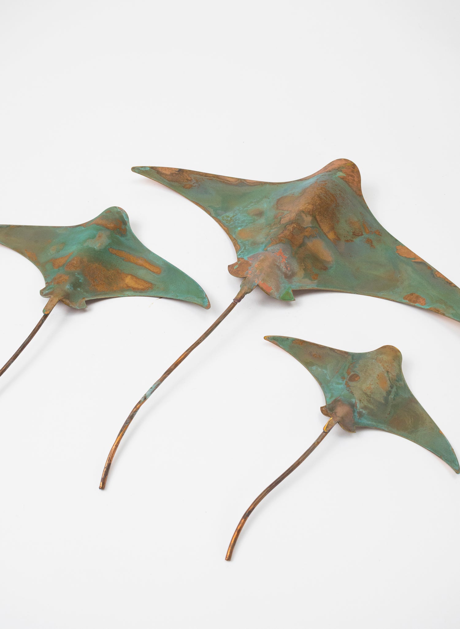 Stingray - Set of 3