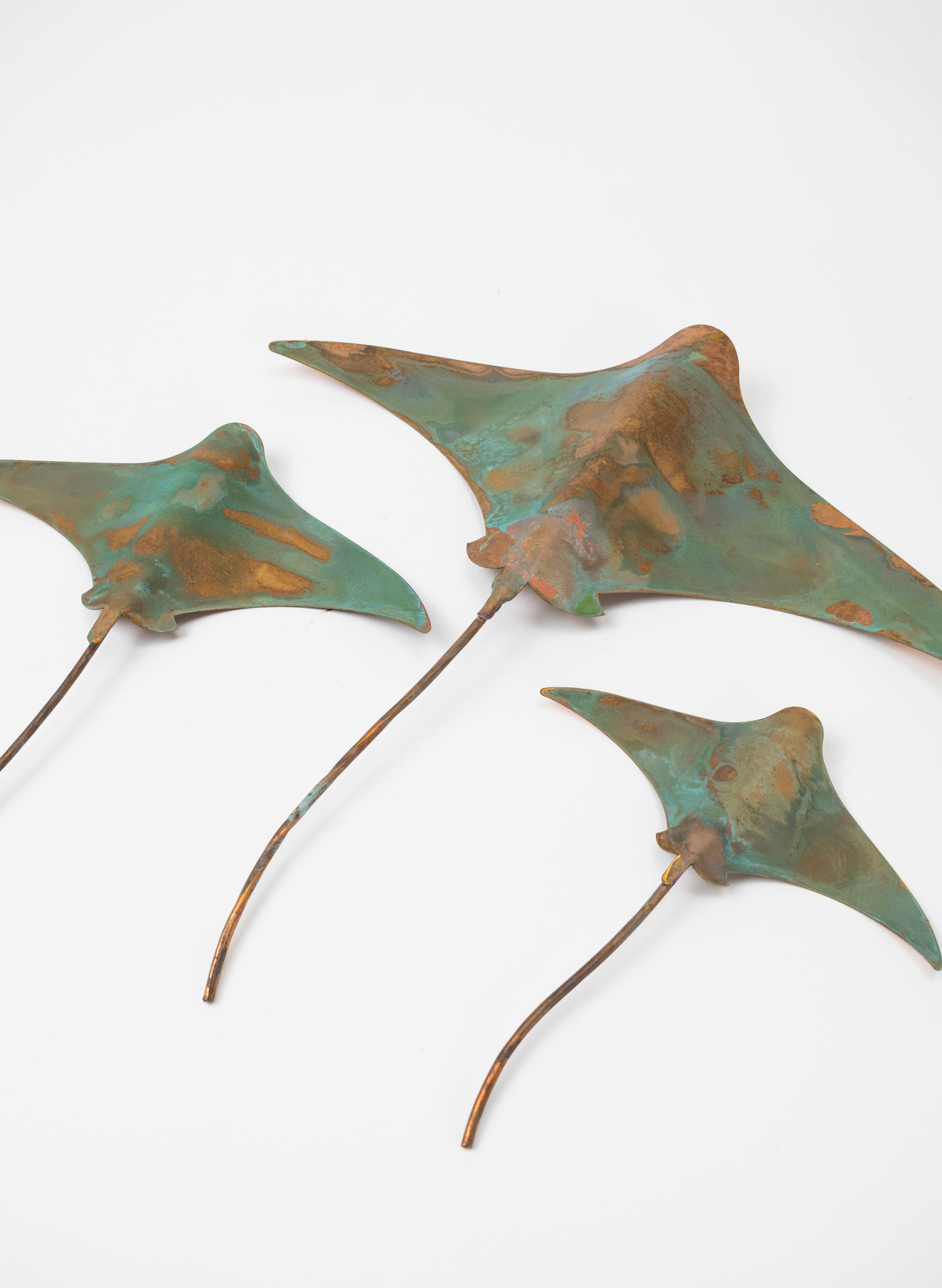 Stingray - Set of 3