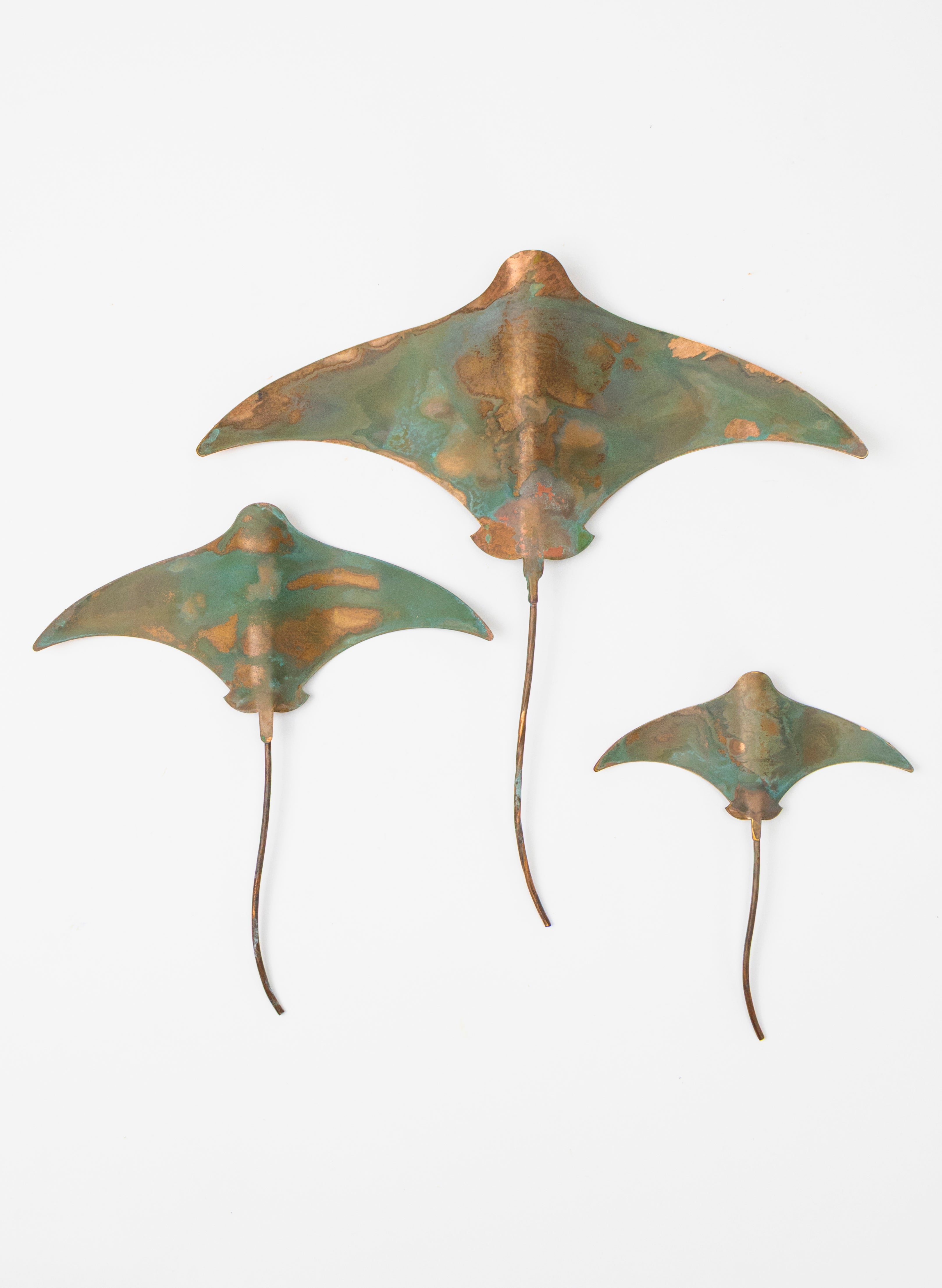 Stingray - Set of 3