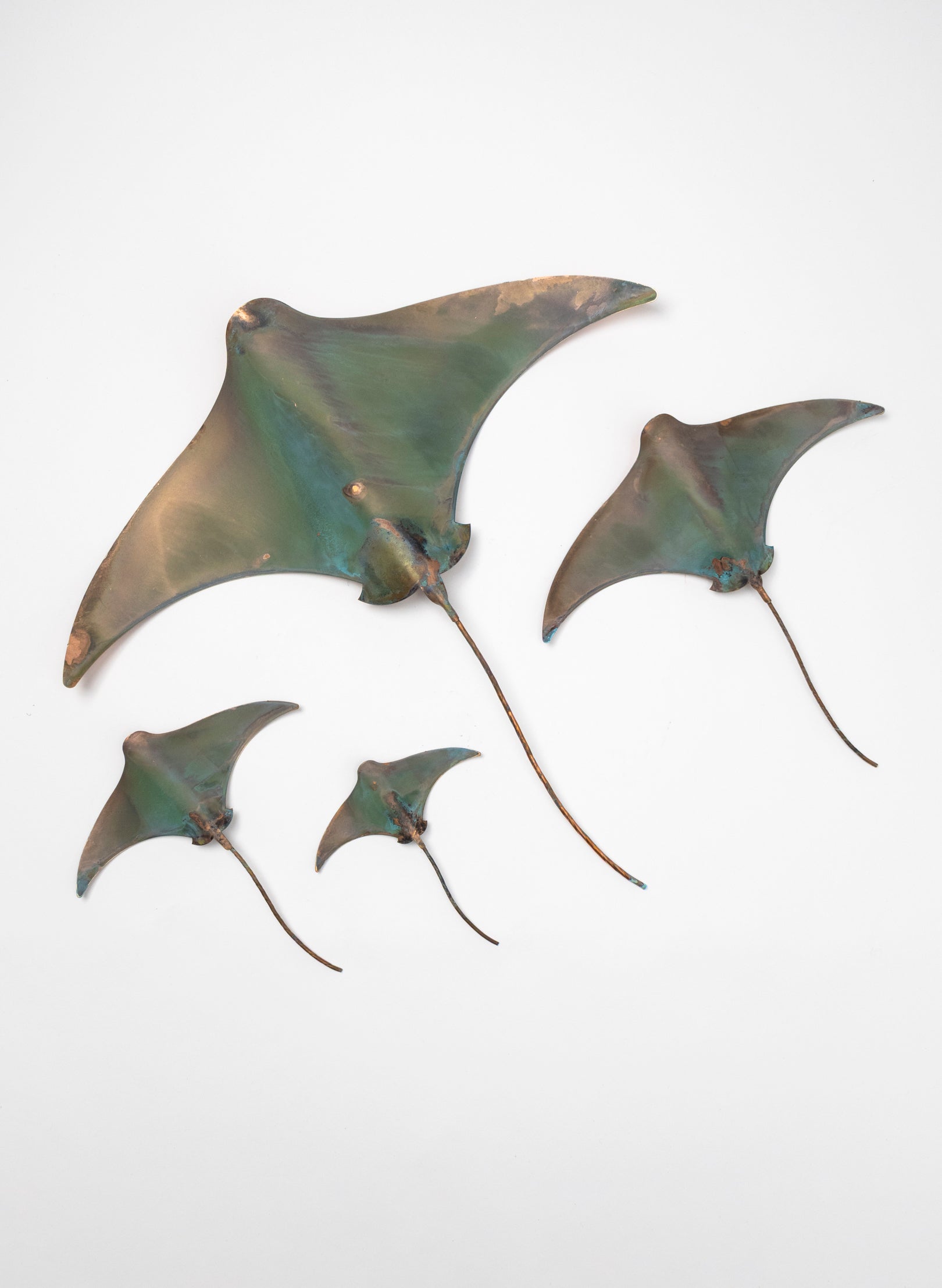 Stingray - Set of 4