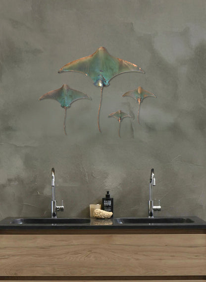 Stingray - Set of 4