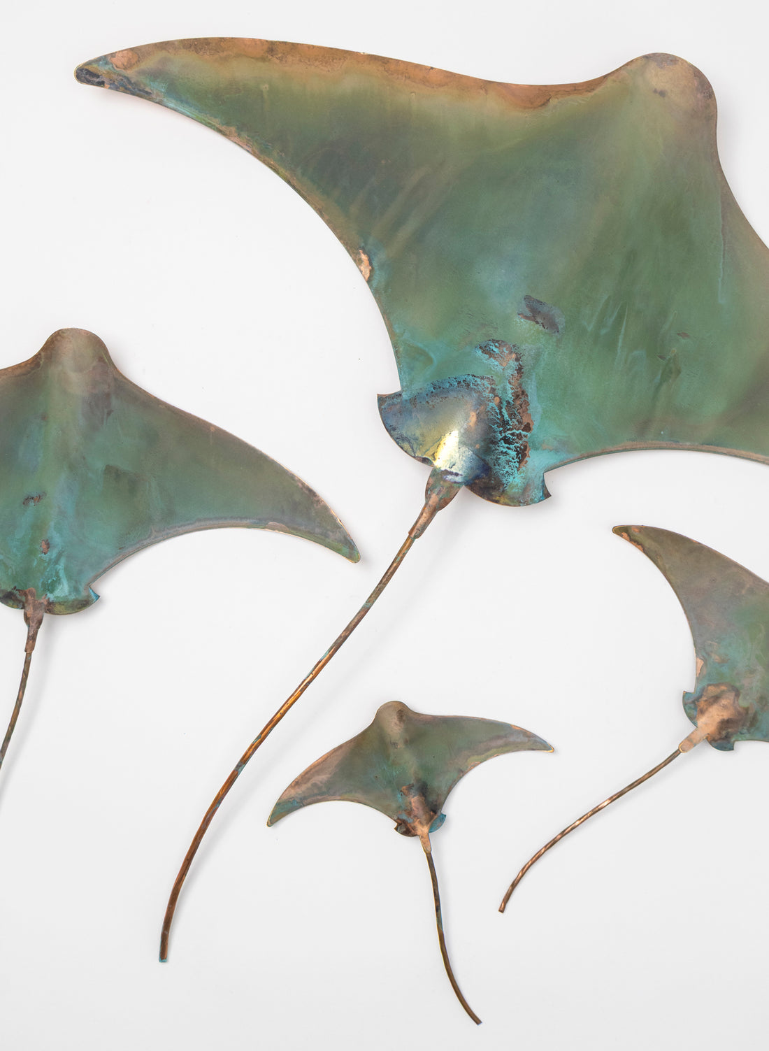 Stingray - Set of 4