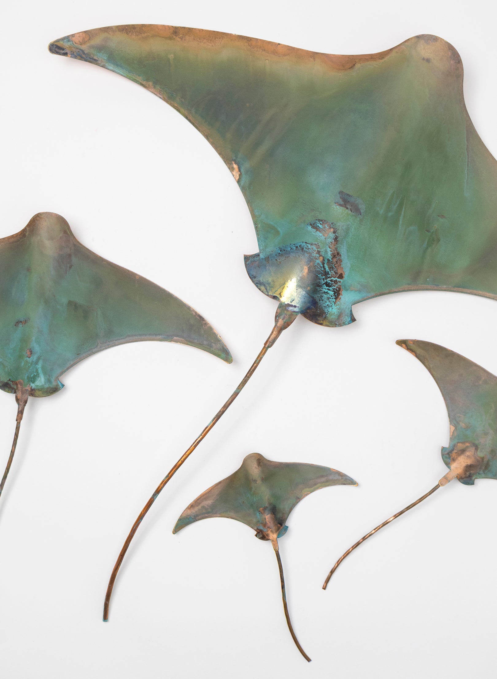 Stingray - Set of 4