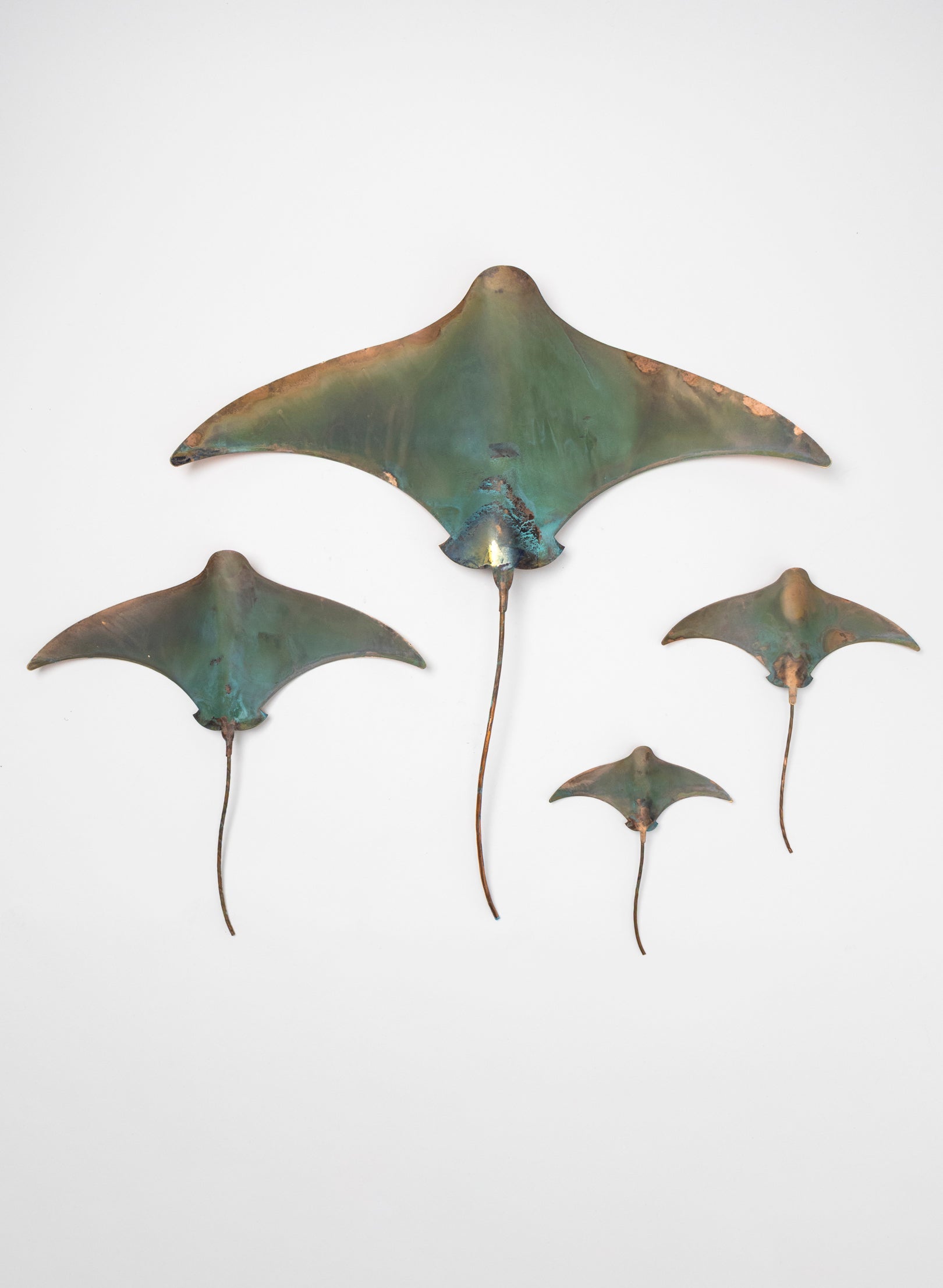 Stingray - Set of 4
