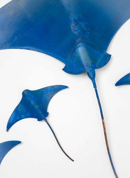 Stingray - Set of 4