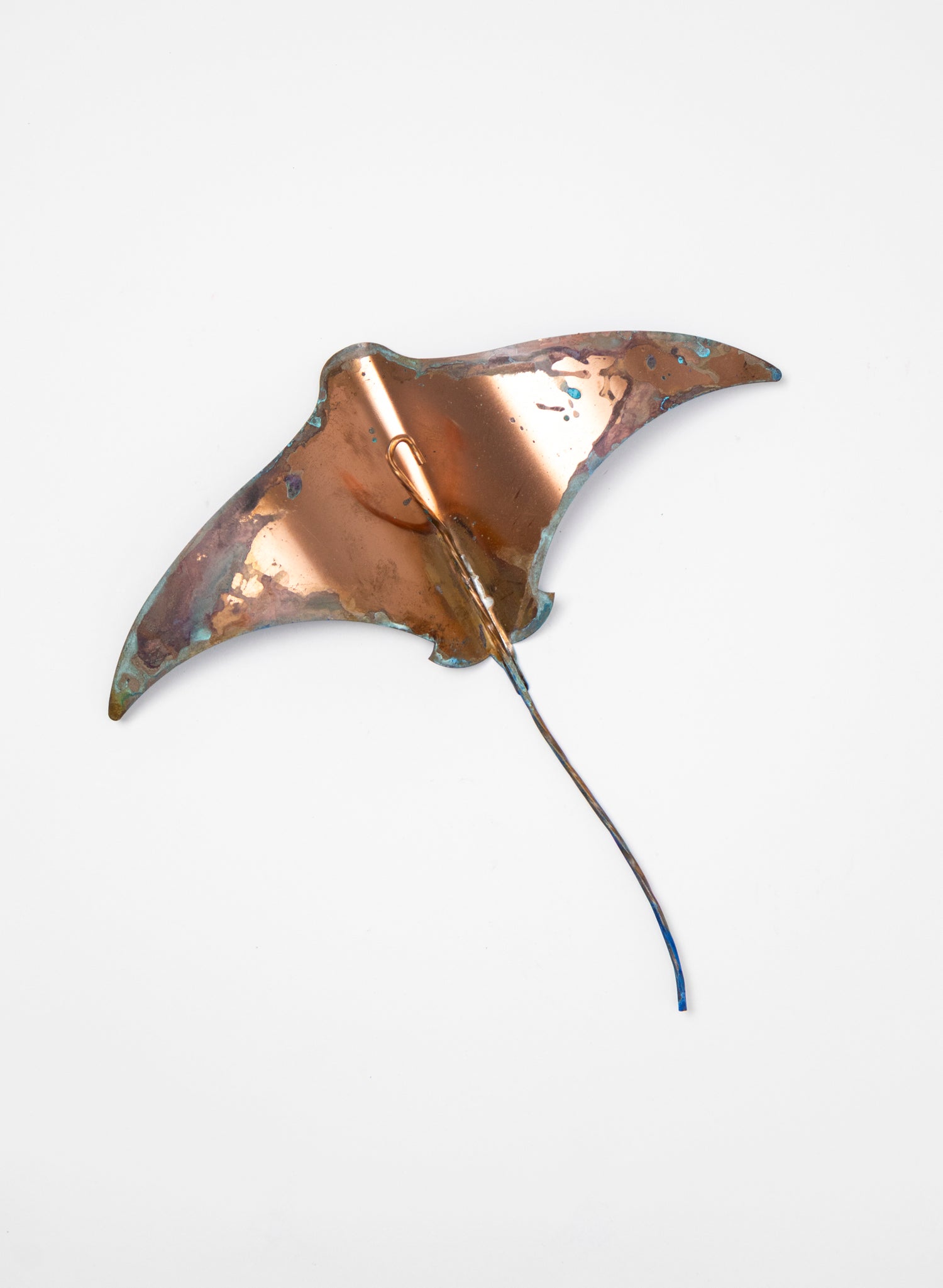 Stingray - Set of 4