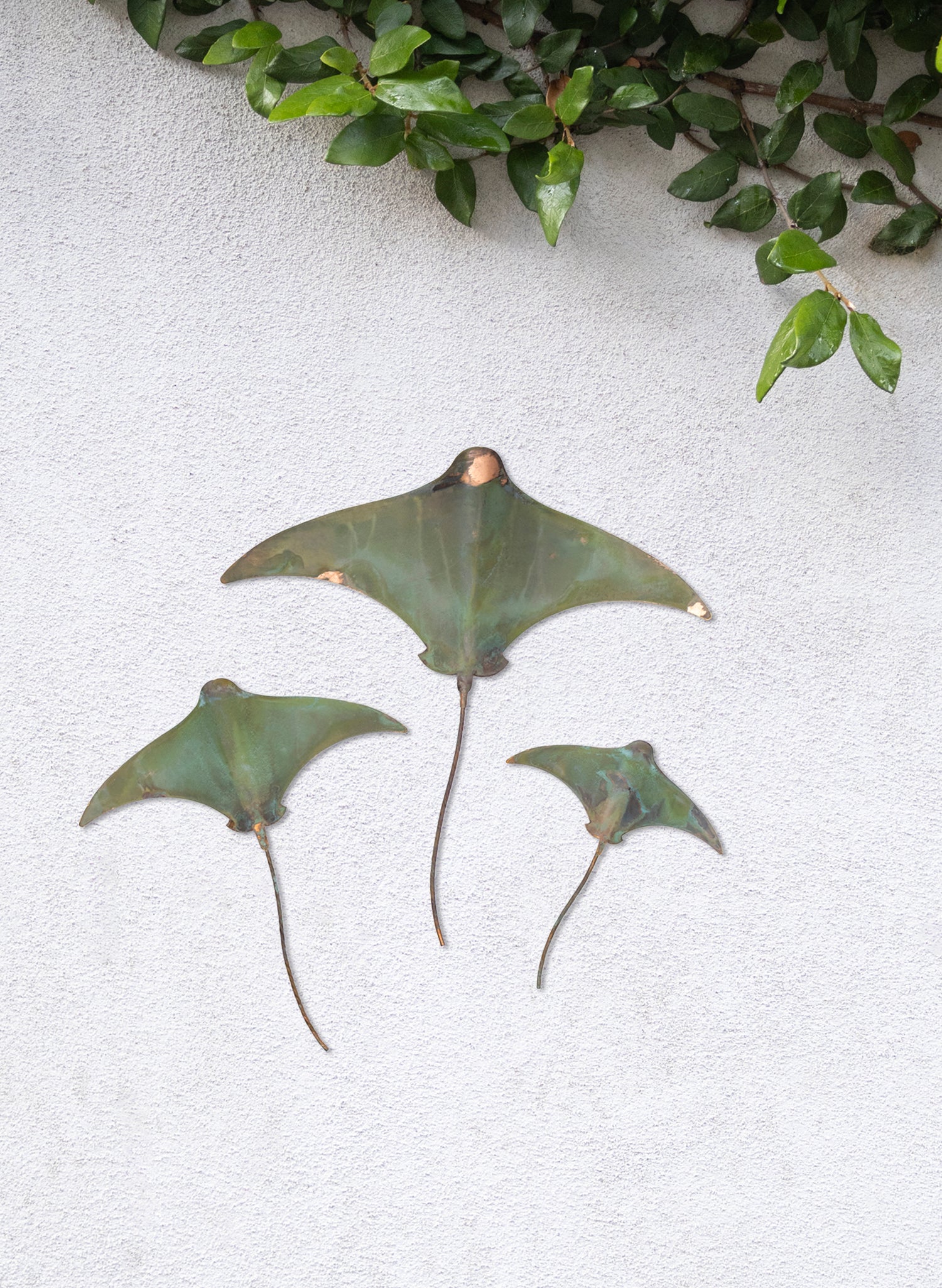 Stingray - Set of 3