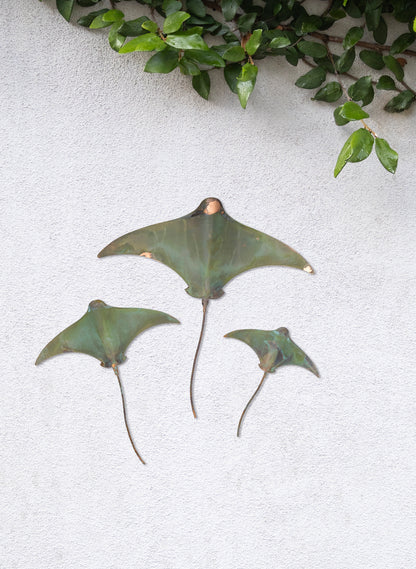 Stingray - Set of 3