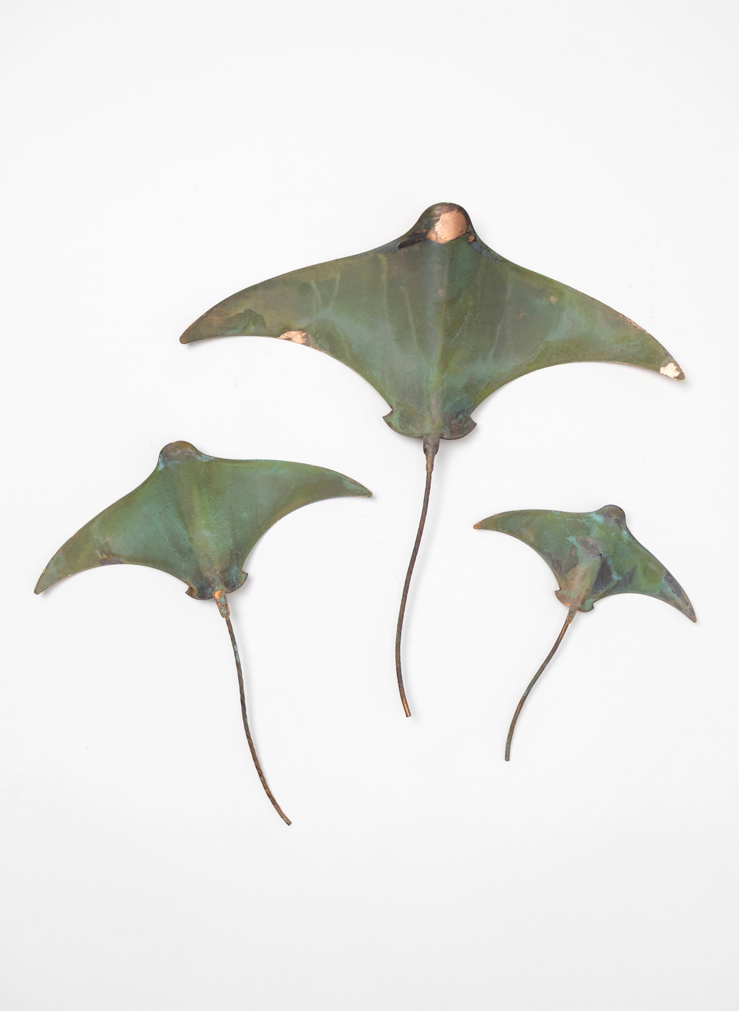Stingray - Set of 3