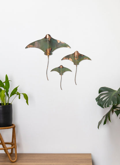 Stingray - Set of 3