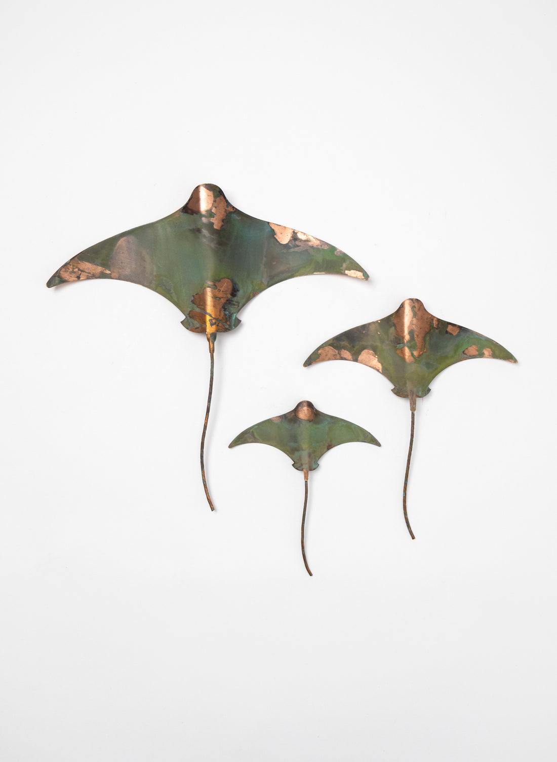 Stingray - Set of 3