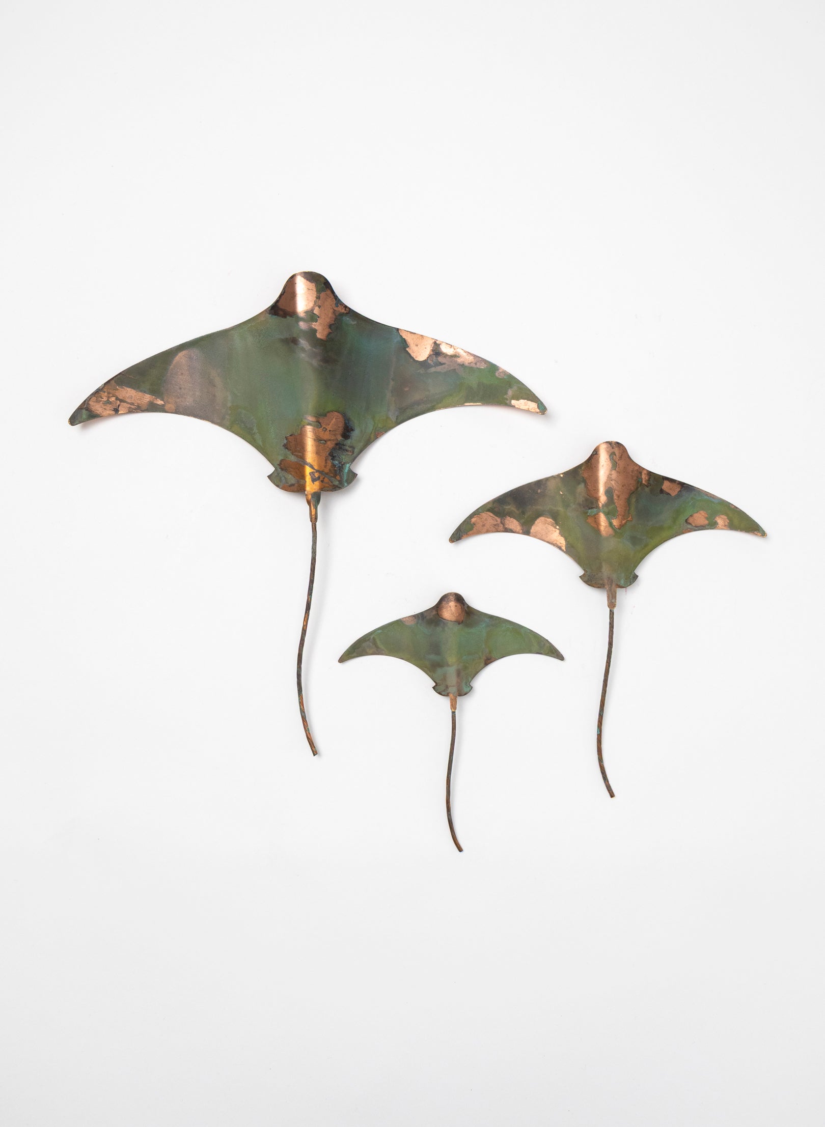 Stingray - Set of 3