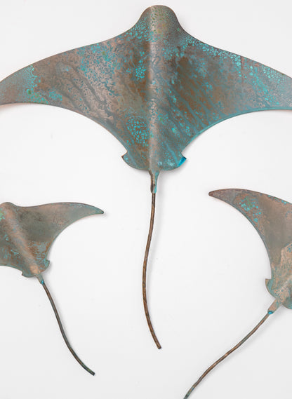 Stingray - Set of 3