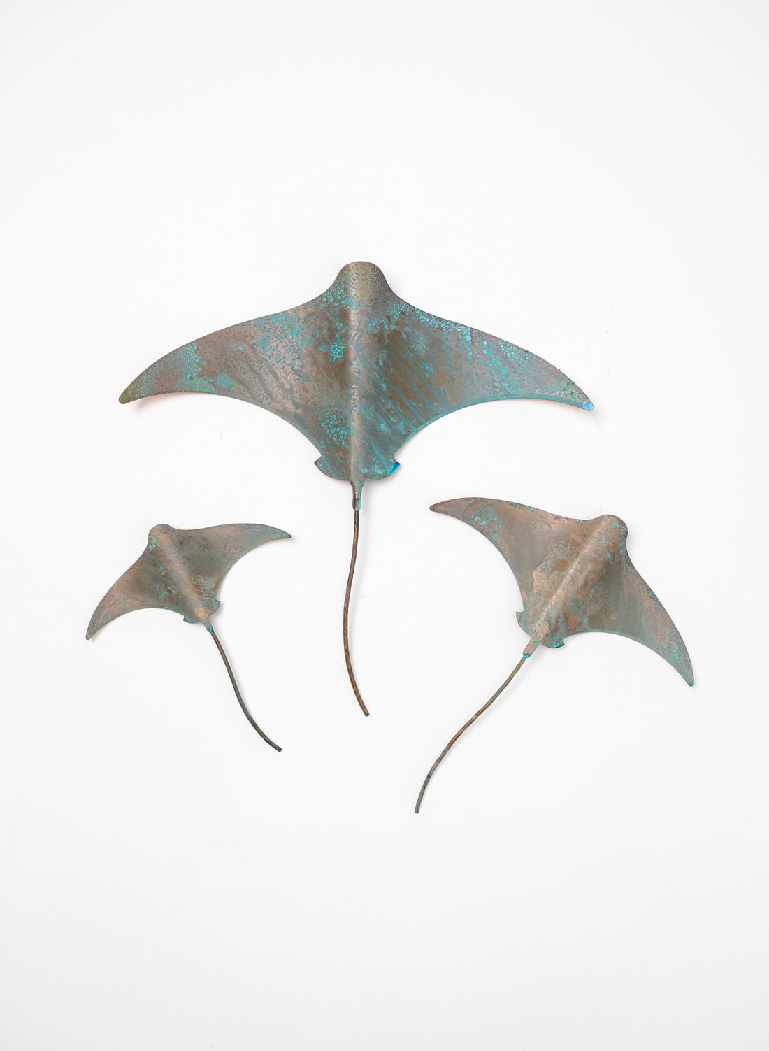 Stingray - Set of 3