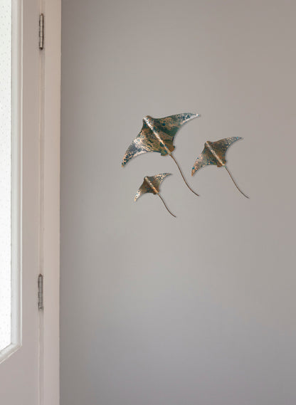 Stingray - Set of 3