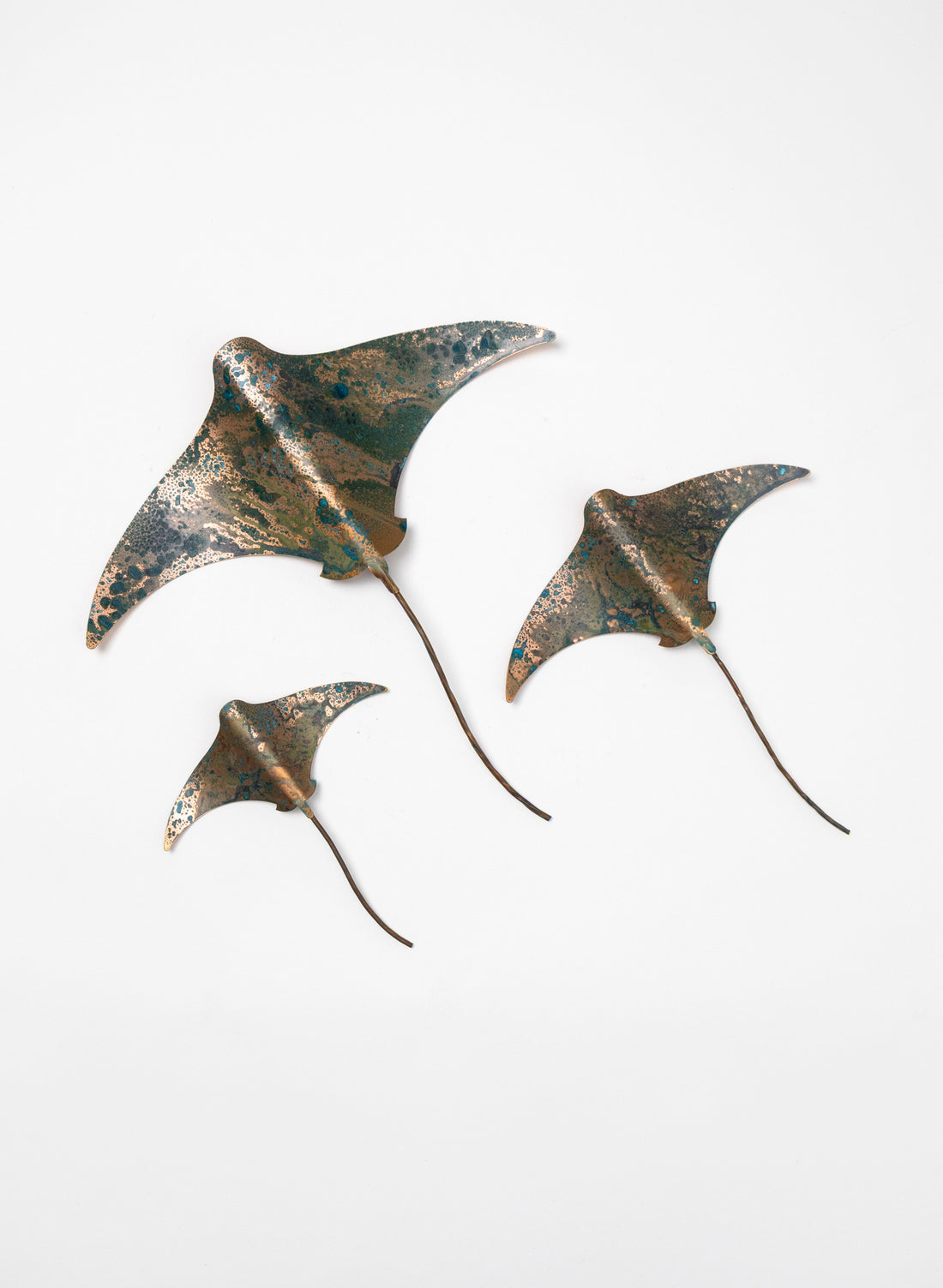 Stingray - Set of 3
