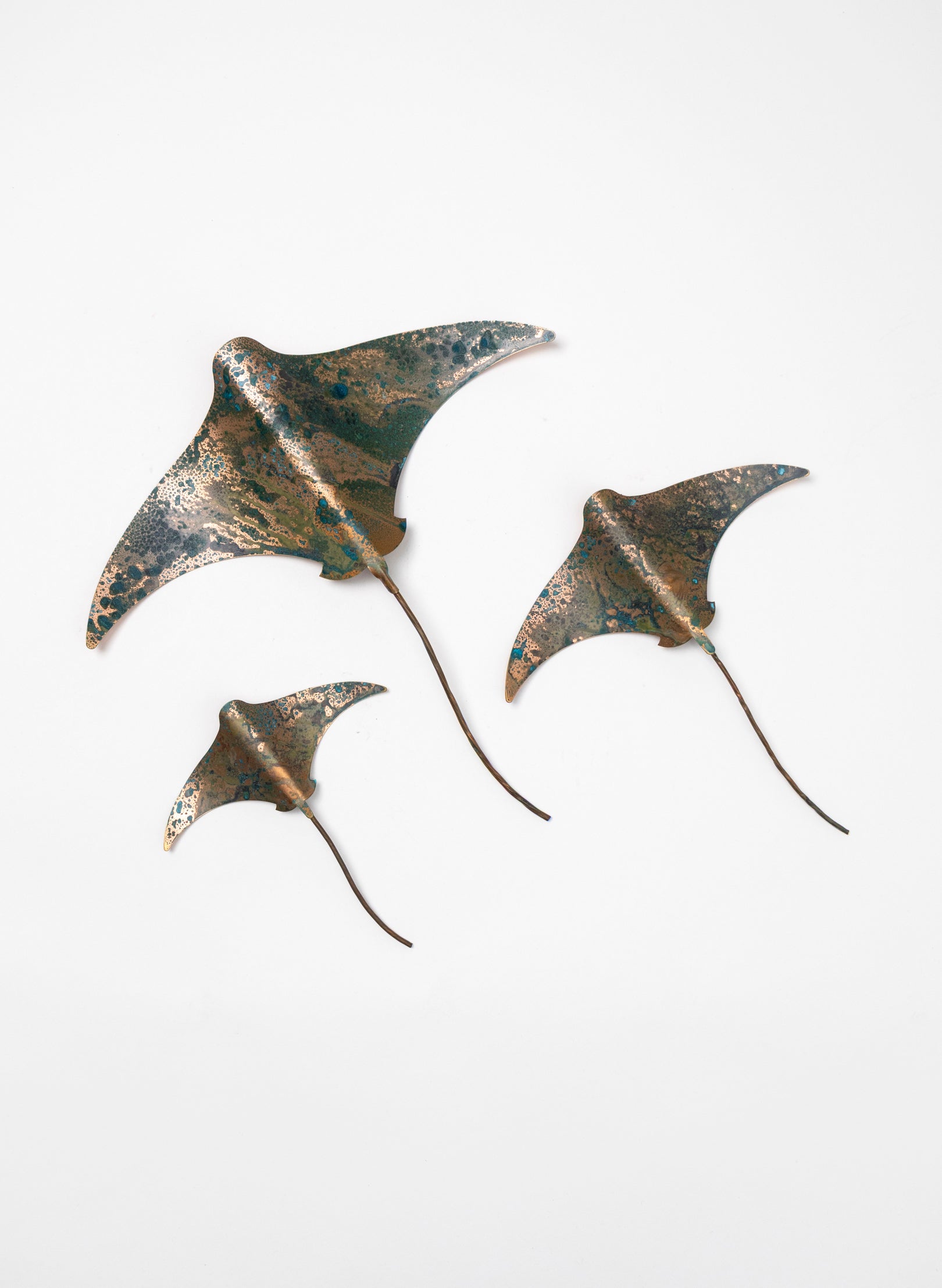 Stingray - Set of 3