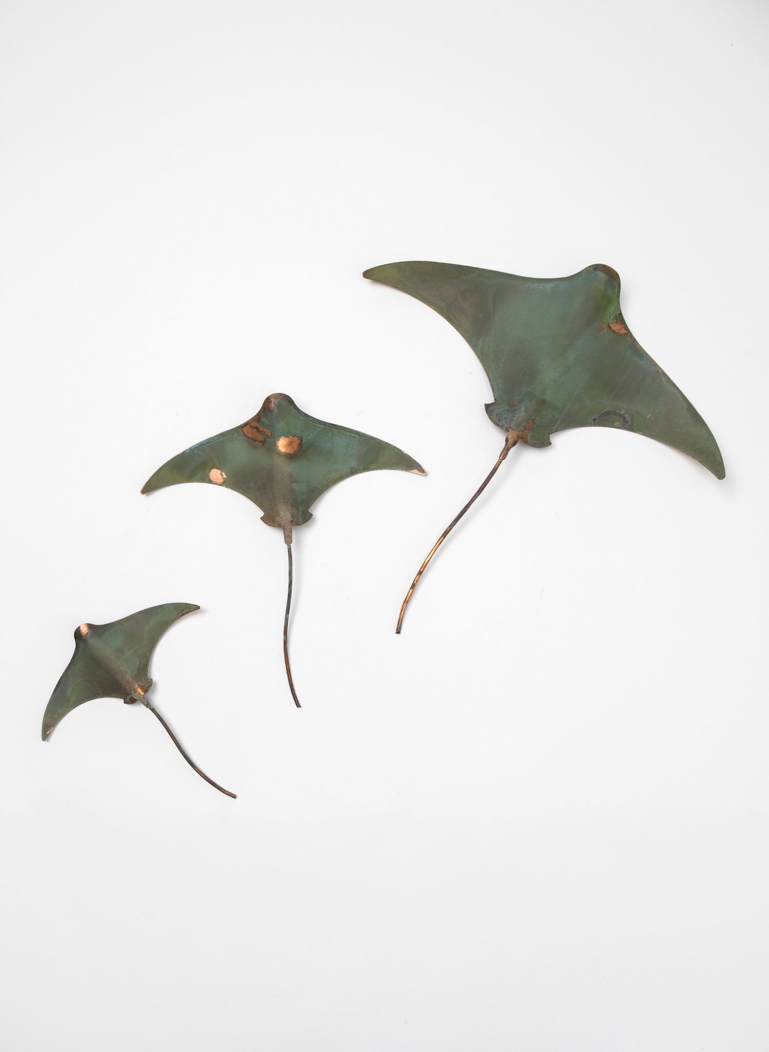 Stingray - Set of 3