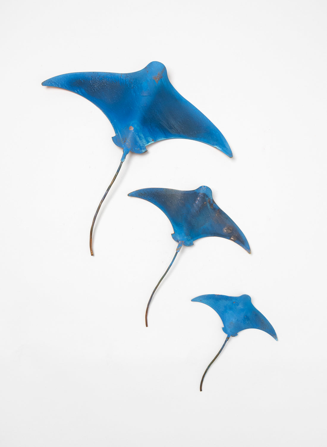 Manta Ray - Set of 3