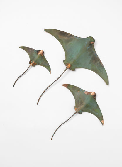 Stingray - Set of 3