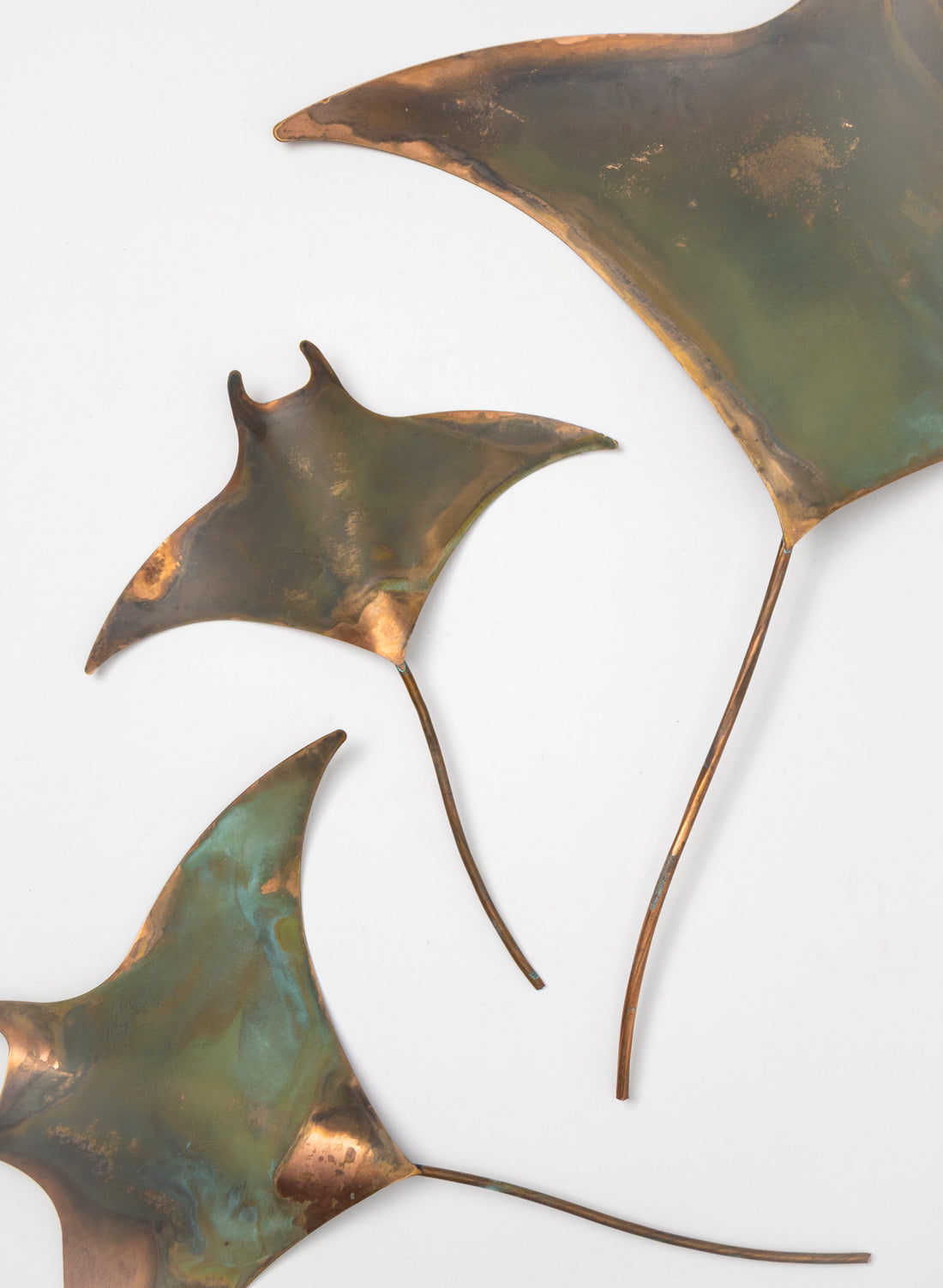 Manta Ray - Set of 3