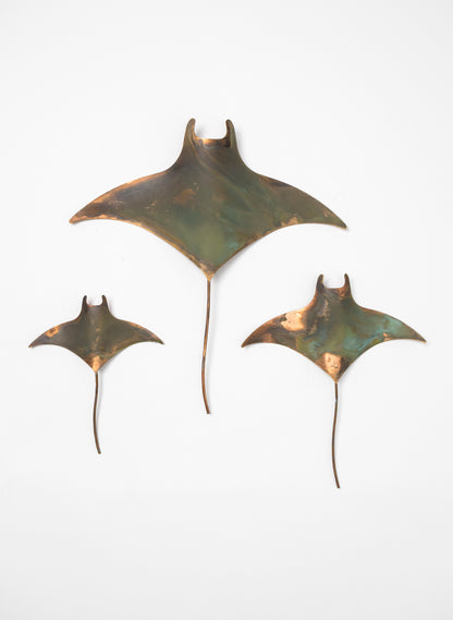 Manta Ray - Set of 3