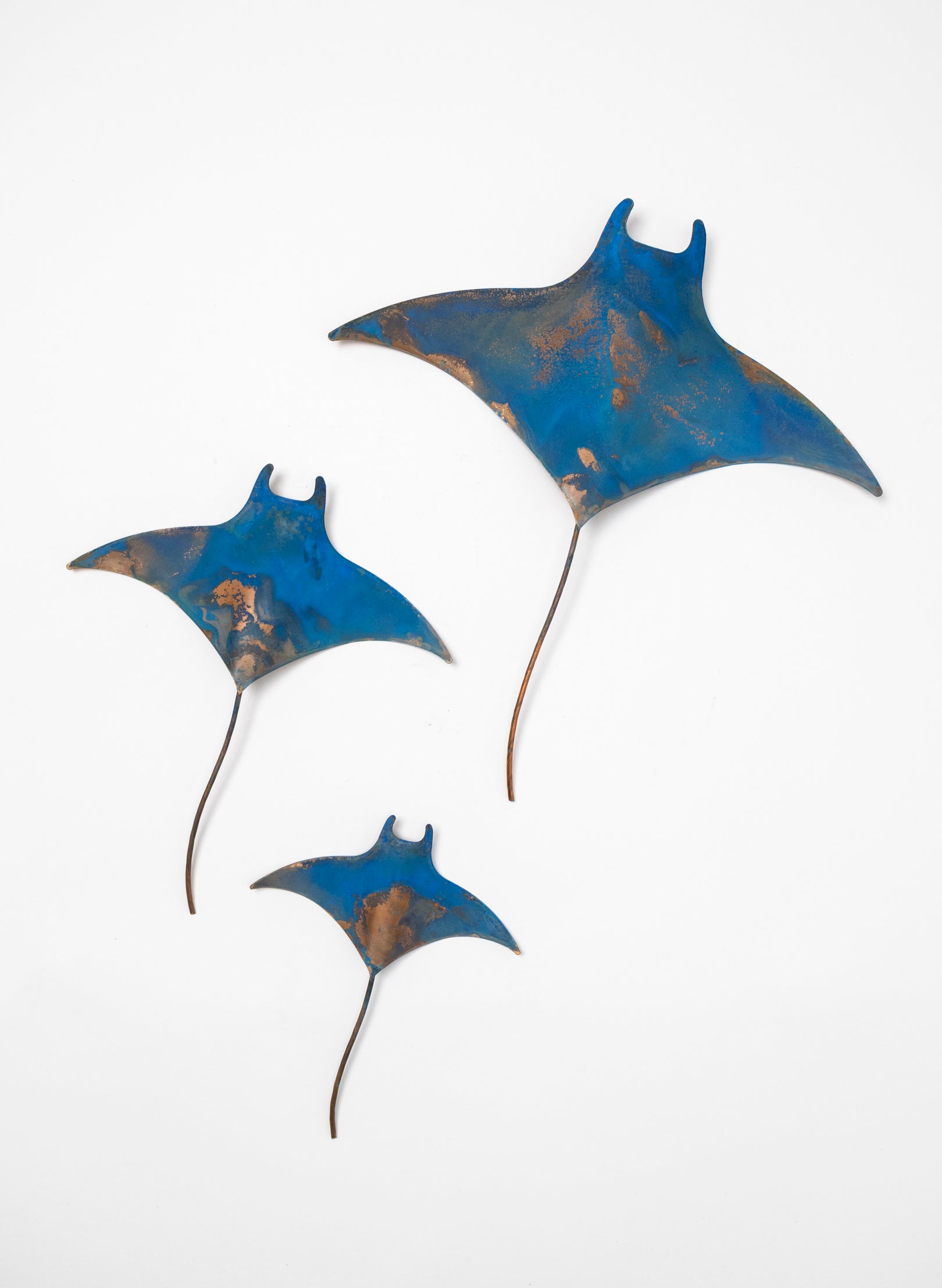 Manta Ray - Set of 3