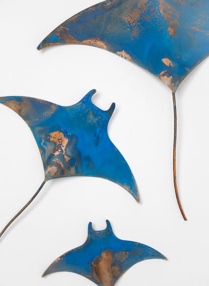 Manta Ray - Set of 3