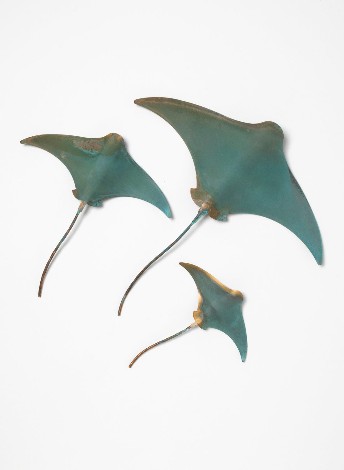 Stingray - Set of 3