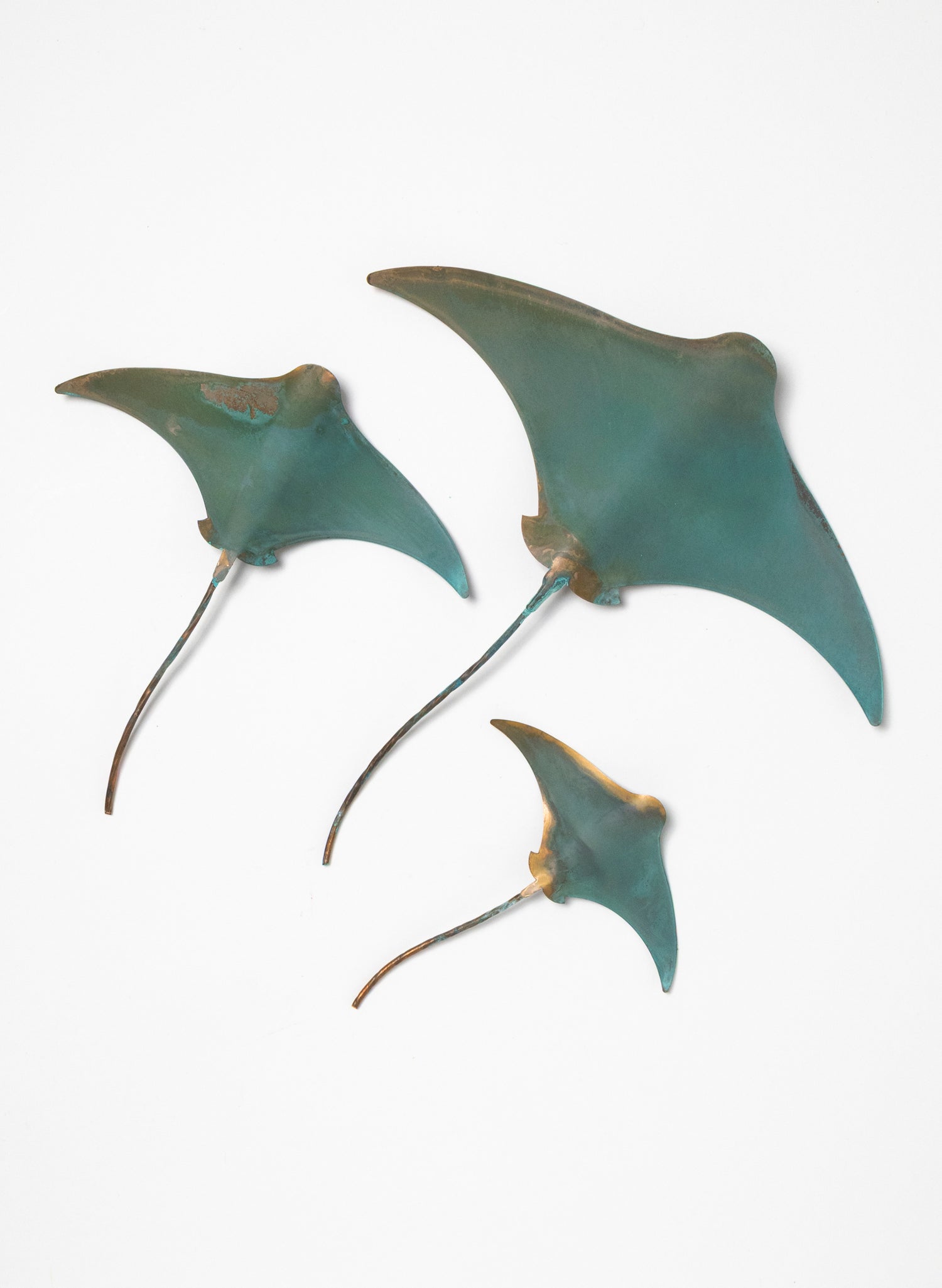 Stingray - Set of 3