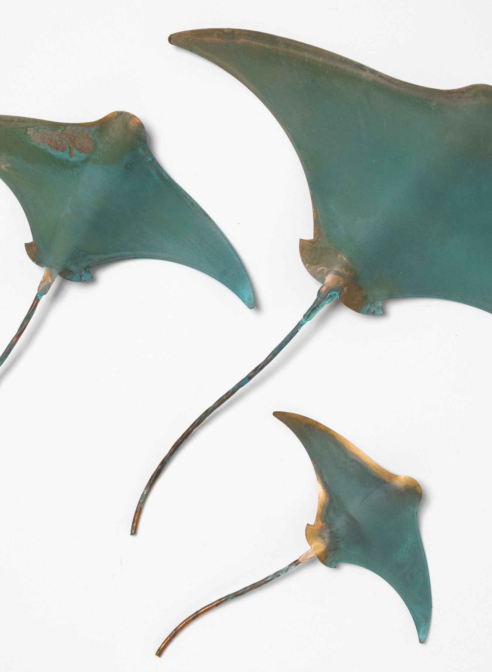 Stingray - Set of 3