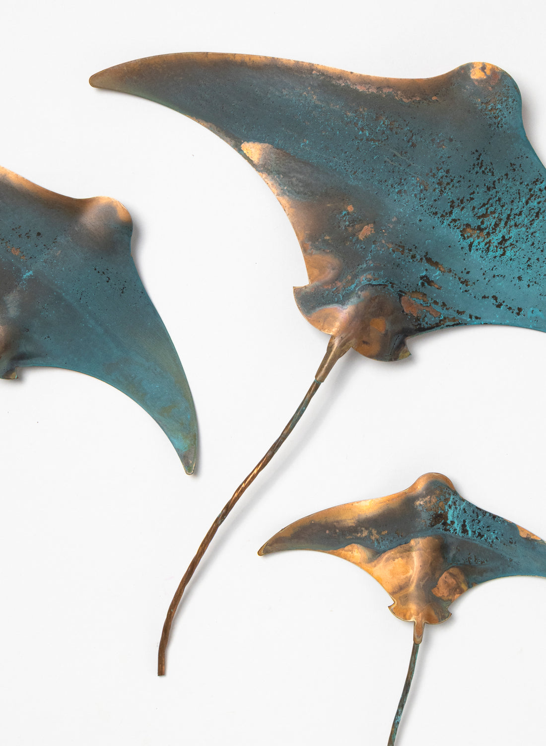 Stingray - Set of 3